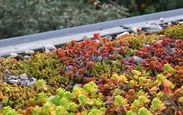 the cost of Hadleigh Heath green roof installation