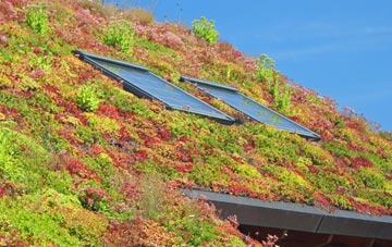Hadleigh Heath living roof systems