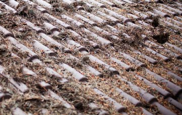 Hadleigh Heath roof cleaning companies